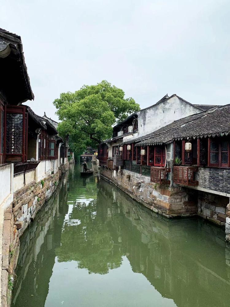 营救小乌龟